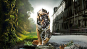 cool tiger hd background