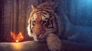 tiger hd image
