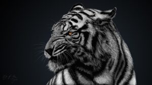 tiger wallpaper