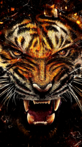 tiger wallpaper for android